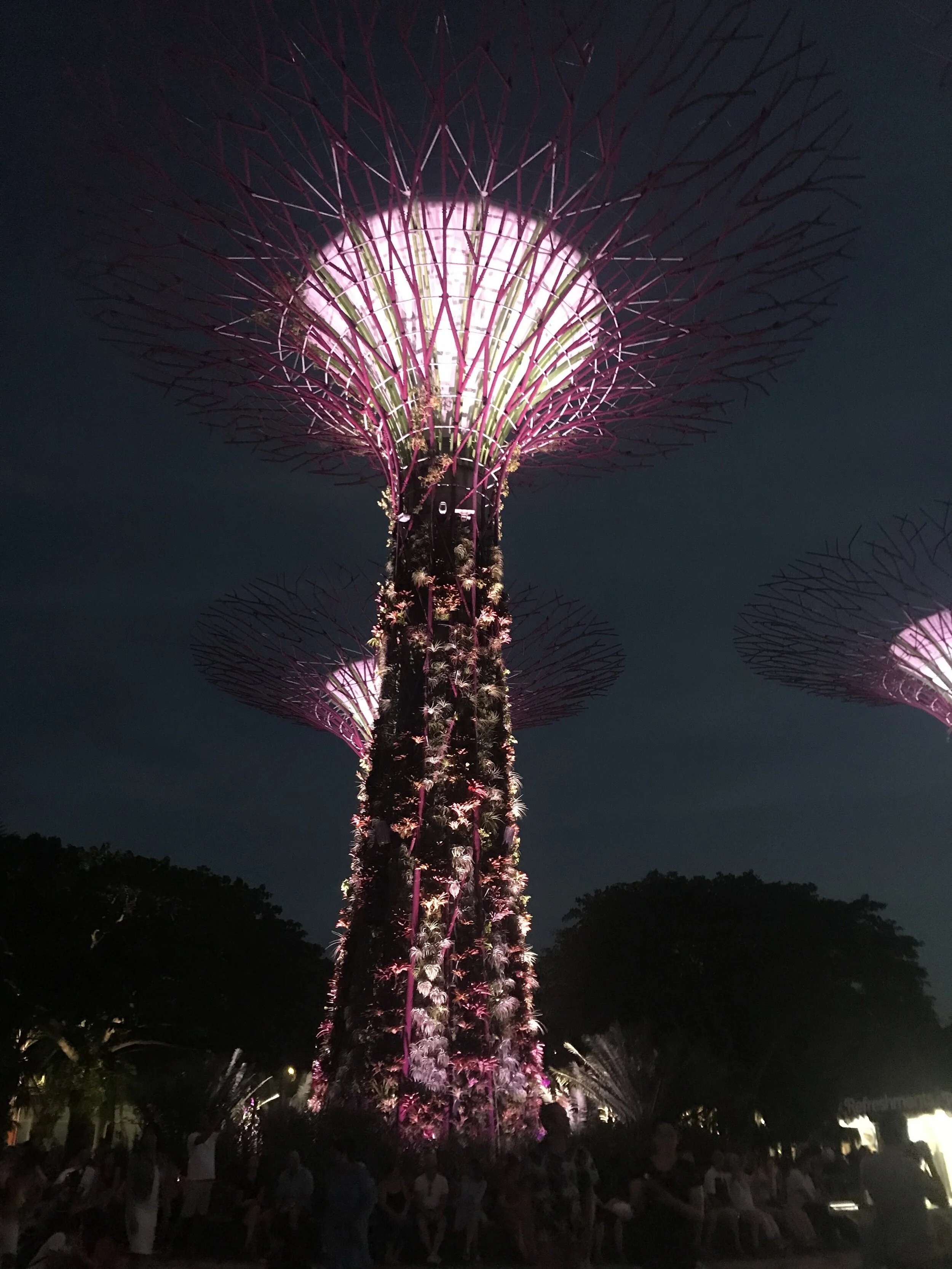 Here is a Super tree lit up at night for the light show